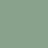 Green P556C