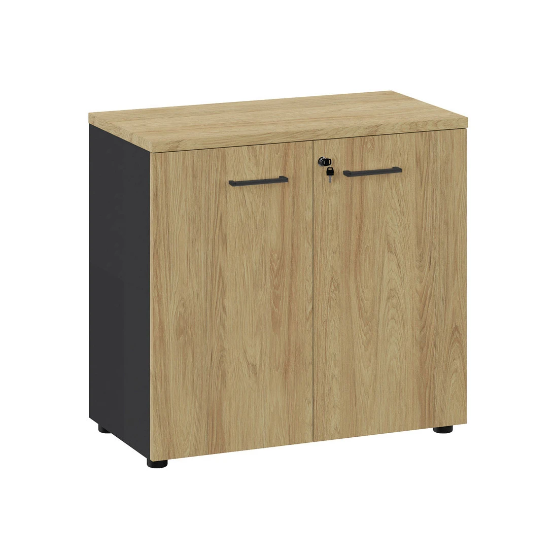 Шкаф низкий для документов Flex 135H001 15/6Z/6Z.34