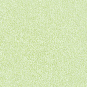 Oregon 04