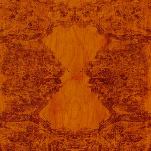 Корень Оливы