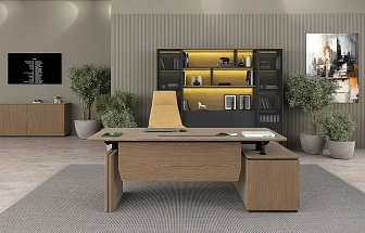 Кабинет руководителя ION