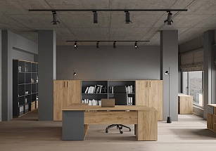 Кабинет руководителя Зион лайт / ZION LIGHT