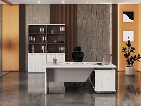 Кабинет руководителя ВИЛАС / VILAS