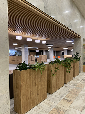 Фото проекта Российская национальная библиотека г. Санкт-Петербург