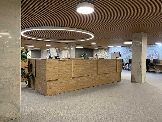 Фото проекта Российская национальная библиотека г. Санкт-Петербург