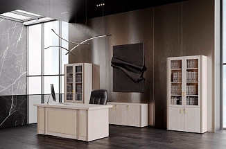 Кабинет руководителя MONZA