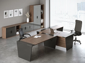 Кабинет руководителя ASTI (P)