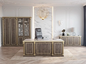 Кабинет руководителя VIENNA