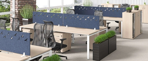 Акустические экраны Forest Office